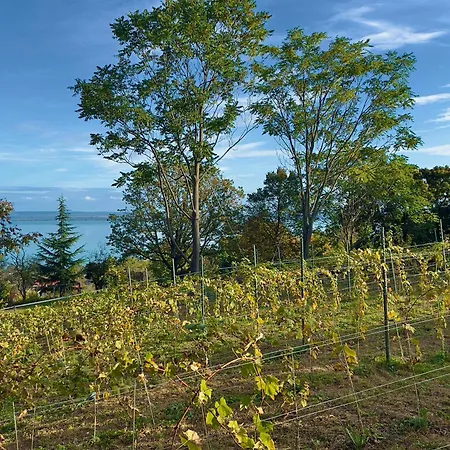 בית נופש Casa Mido Badacsony בדקסוניטומאי