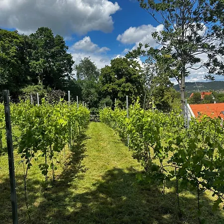 펜션 Casa Mido Badacsony