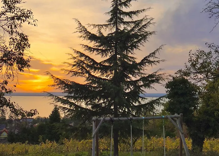 Casa Mido Badacsony * 바다초니토마이