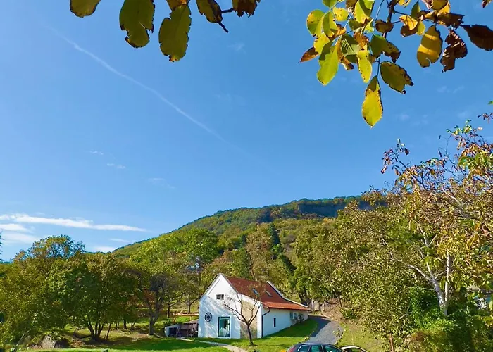 Casa Mido Badacsony * 바다초니토마이