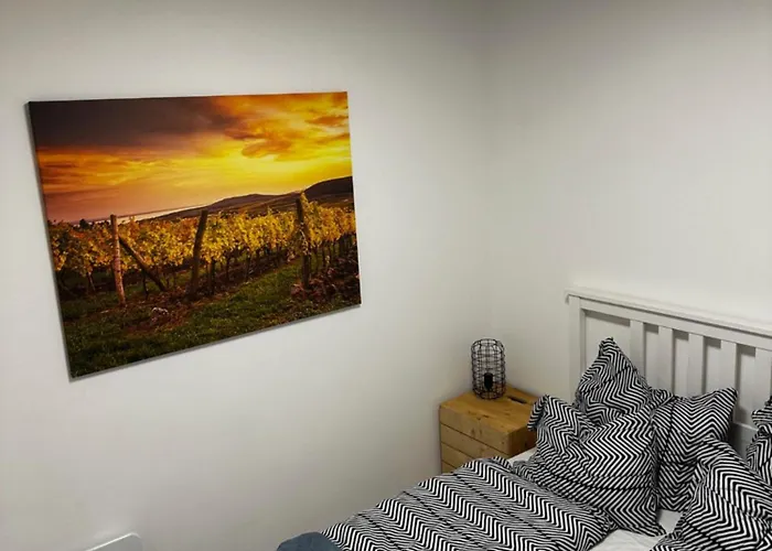 Casa Mido Badacsony 펜션 바다초니토마이