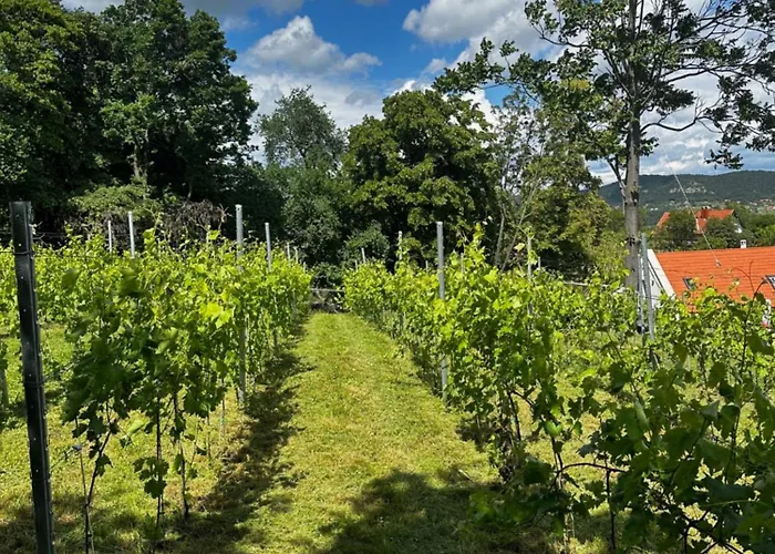 펜션 Casa Mido Badacsony